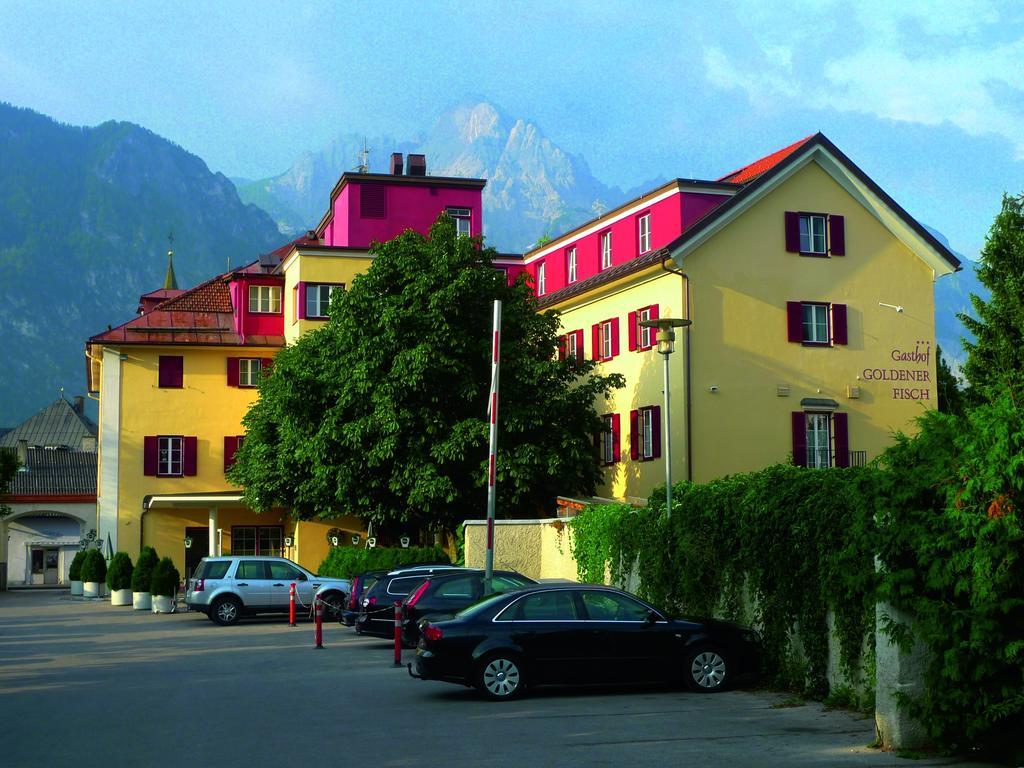 Gasthof Goldener Fisch لينز المظهر الخارجي الصورة